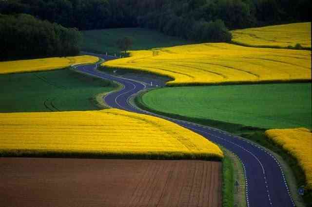 Beautiful_Roads_1