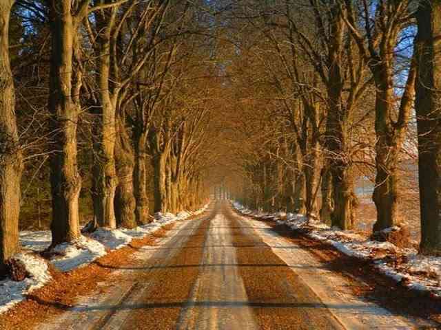 Beautiful_Roads_7