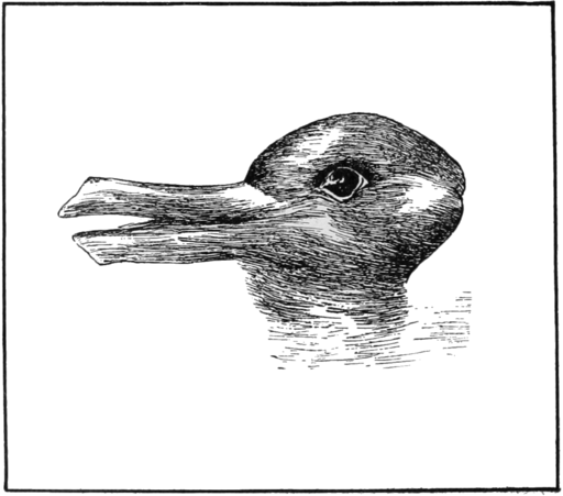 PSM_V54_D328_Optical_illusion_of_a_duck_or_a_rabbit_head